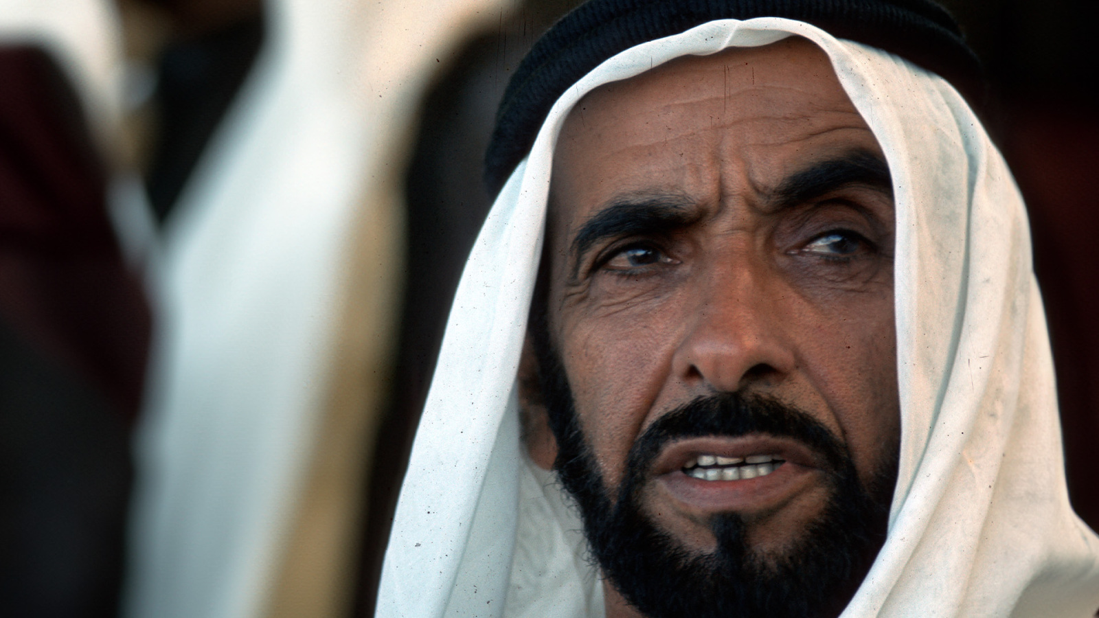 Sheki Zayed Share